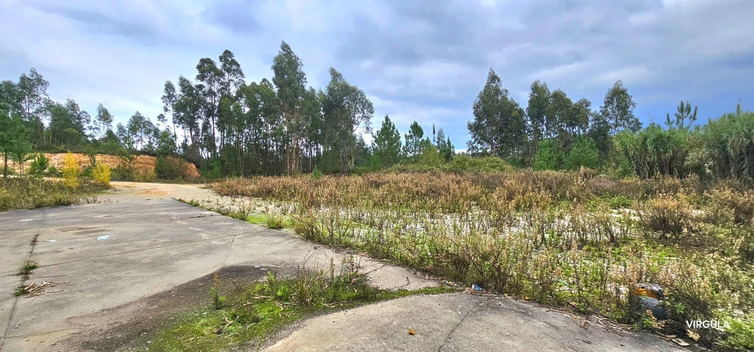 Armazém para Venda em Nossa Senhora das Misericordias Foto 10