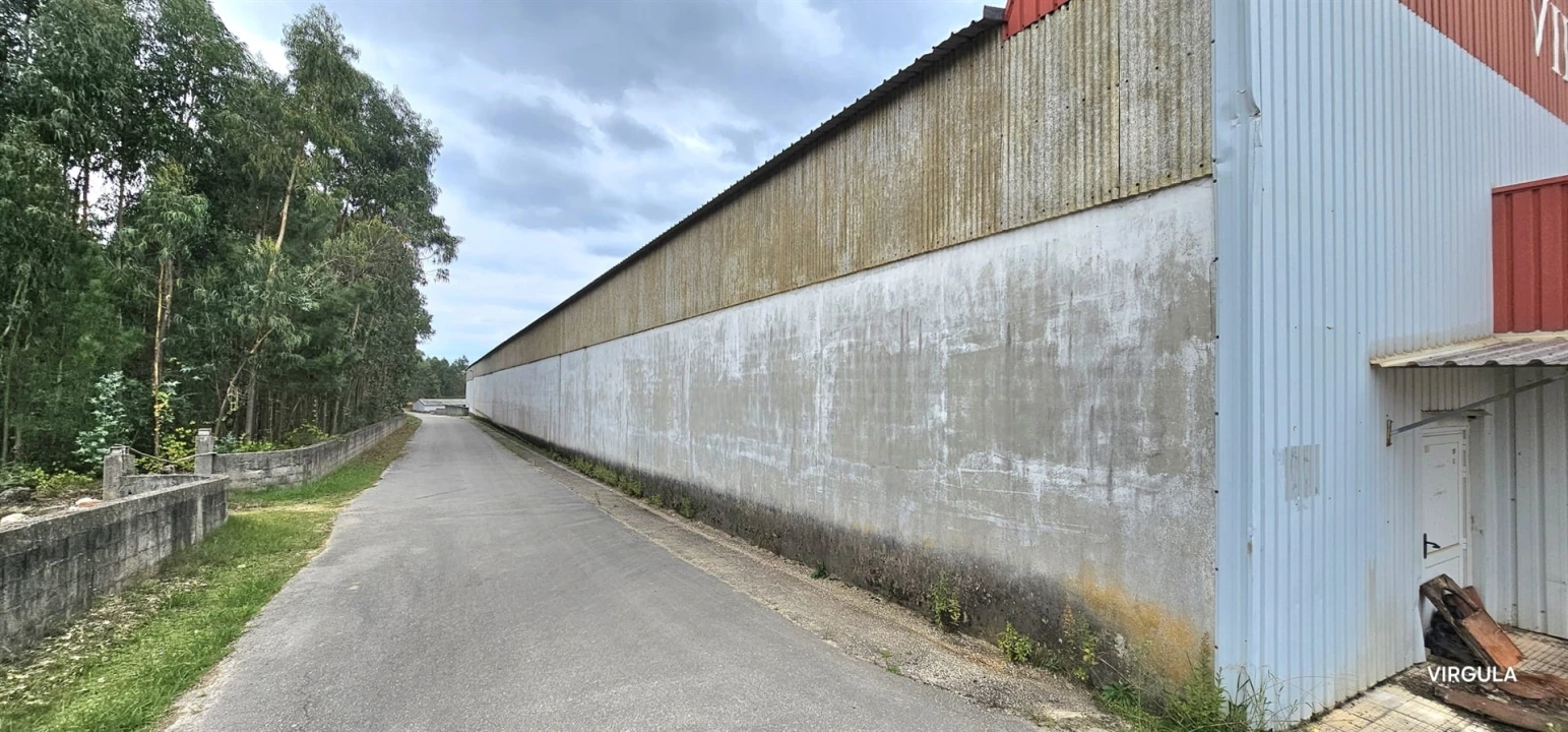 Armazém para Venda em Nossa Senhora das Misericordias Foto 45