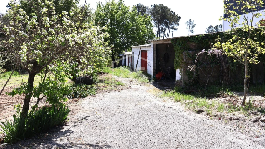 Quinta T6 para Venda em Campo Foto 20