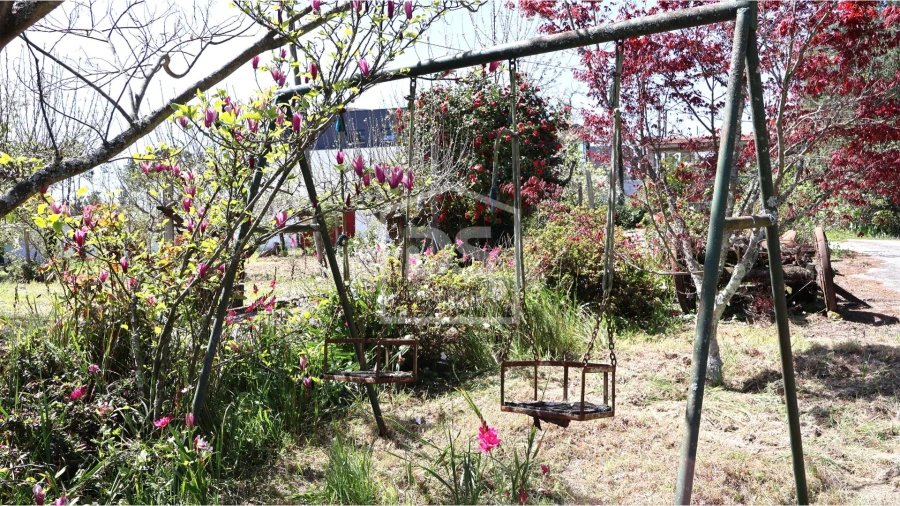 Quinta T6 para Venda em Campo Foto 21
