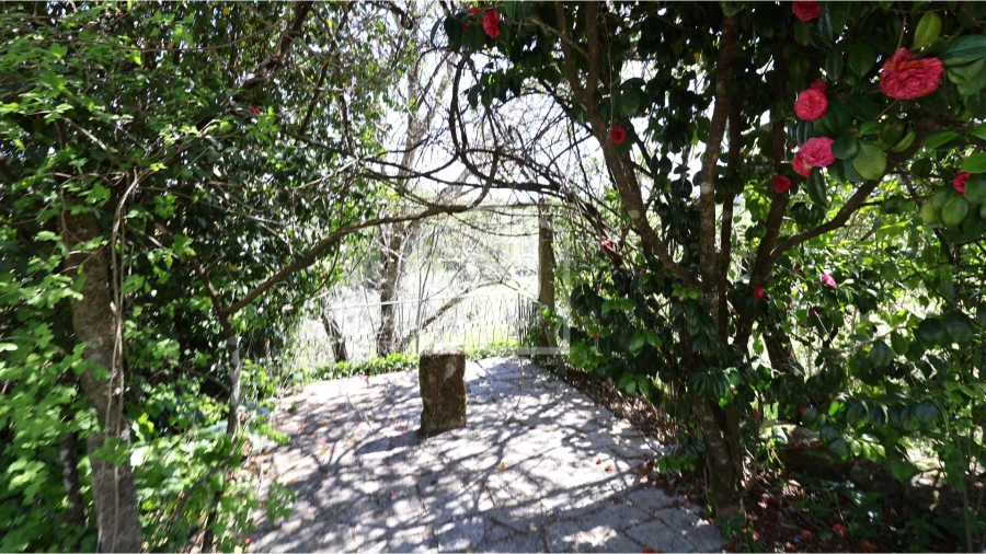 Quinta T6 para Venda em Campo Foto 23