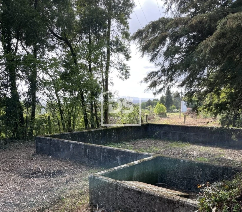Quinta T0 para Venda em Mundão Foto 70