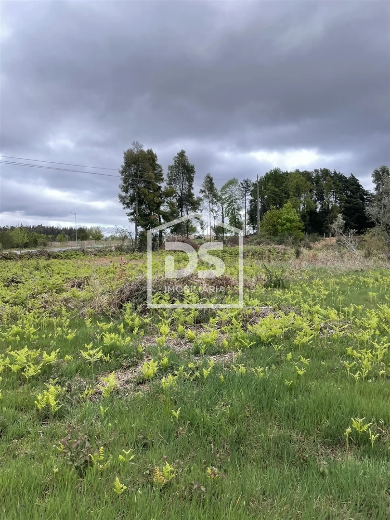 Quinta T0 para Venda em Mundão Foto 58