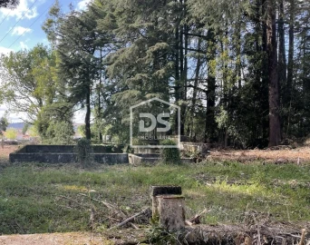 Quinta T0 para Venda em Mundão