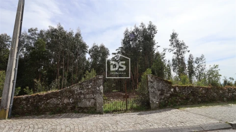 Quinta T0 para Venda em Mundão