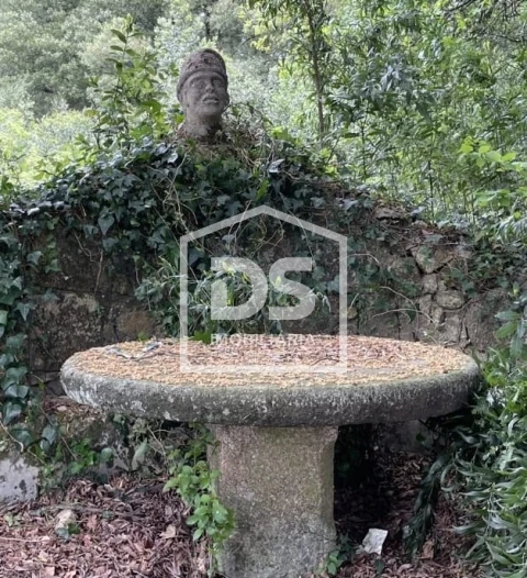 Quinta T0 para Venda em Mundão