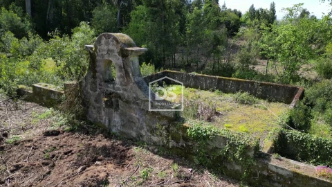 Quinta T0 para Venda em Mundão
