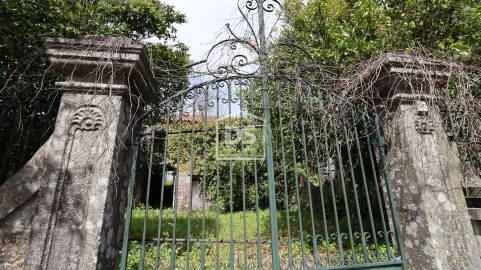 Quinta T0 para Venda em Mundão