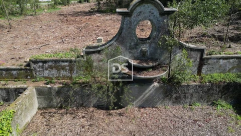 Quinta T0 para Venda em Mundão