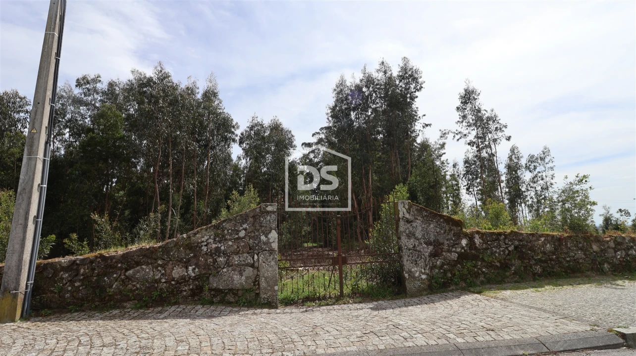 Quinta T0 para Venda em Mundão Foto 21