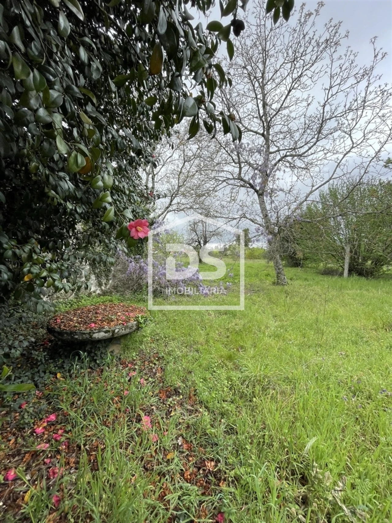 Quinta T0 para Venda em Mundão Foto 55
