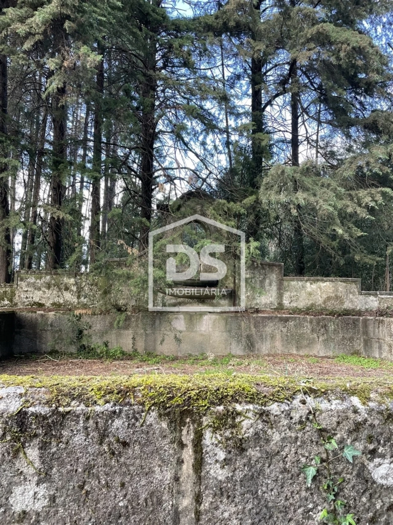 Quinta T0 para Venda em Mundão Foto 71