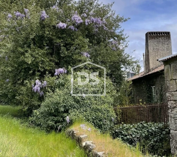 Quinta T0 para Venda em Mundão Foto 52