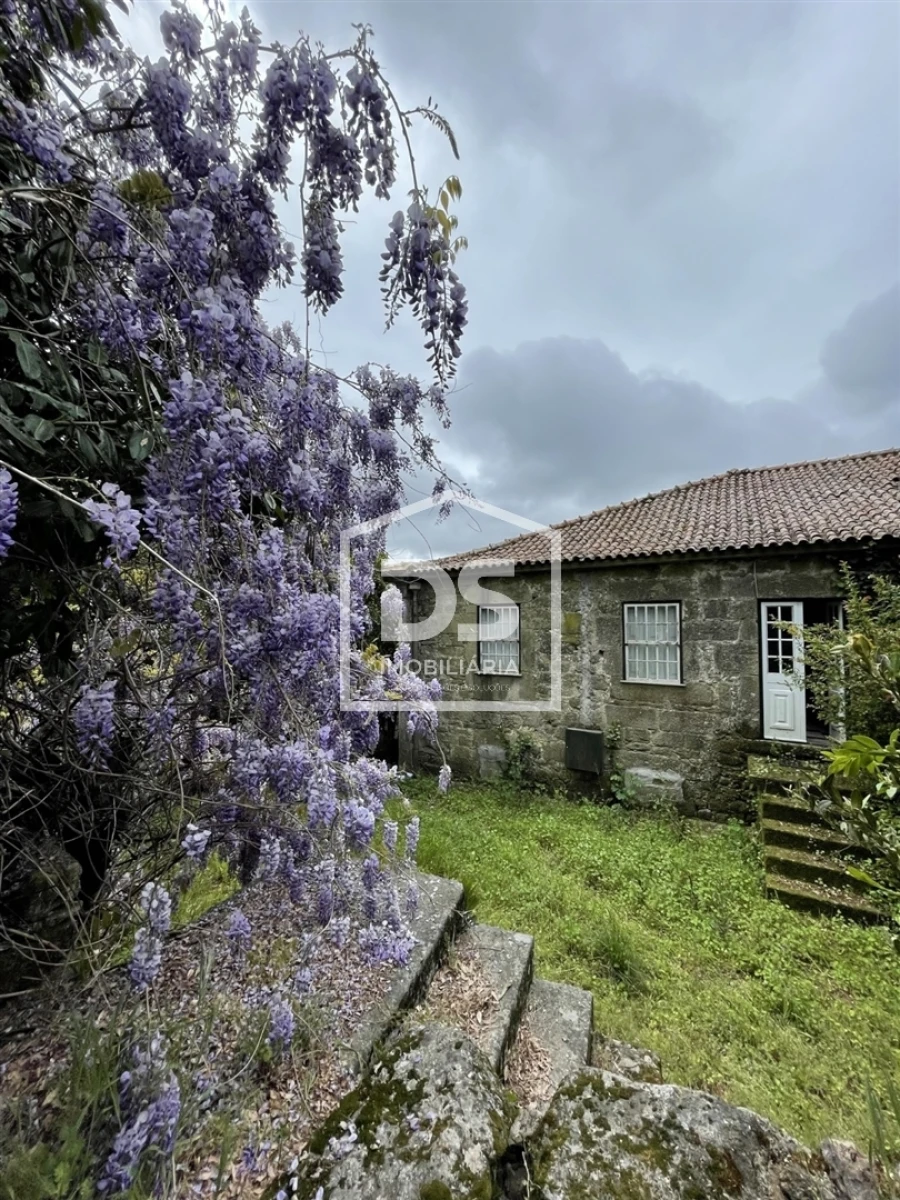 Quinta T0 para Venda em Mundão Foto 50