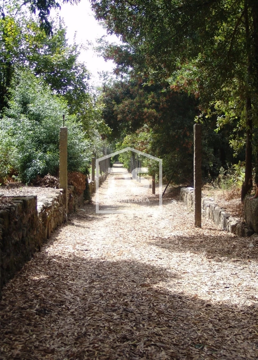 Quinta T0 para Venda em Mundão Foto 57