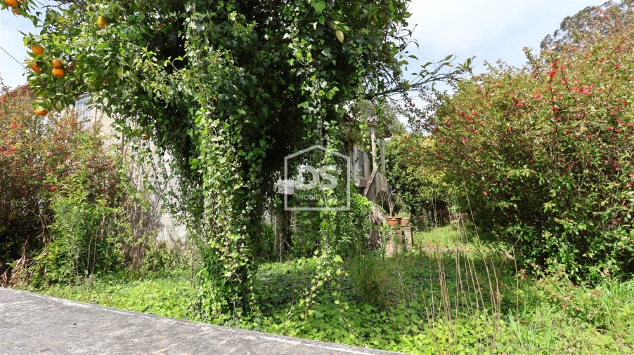Quinta T0 para Venda em Mundão Foto 10