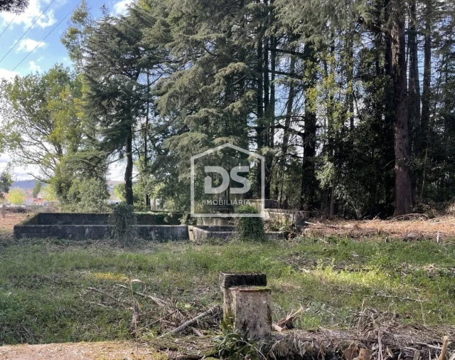 Quinta T0 para Venda em Mundão Foto 69