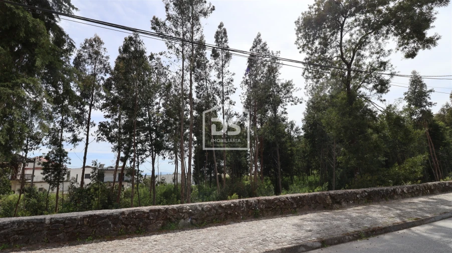 Quinta T0 para Venda em Mundão Foto 20