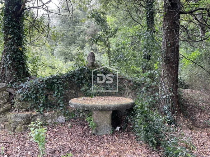 Quinta T0 para Venda em Mundão Foto 75