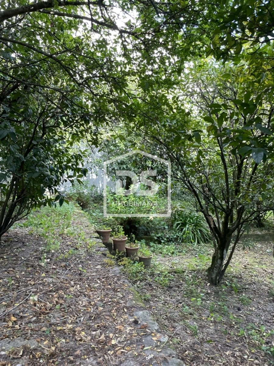 Quinta T0 para Venda em Mundão Foto 48