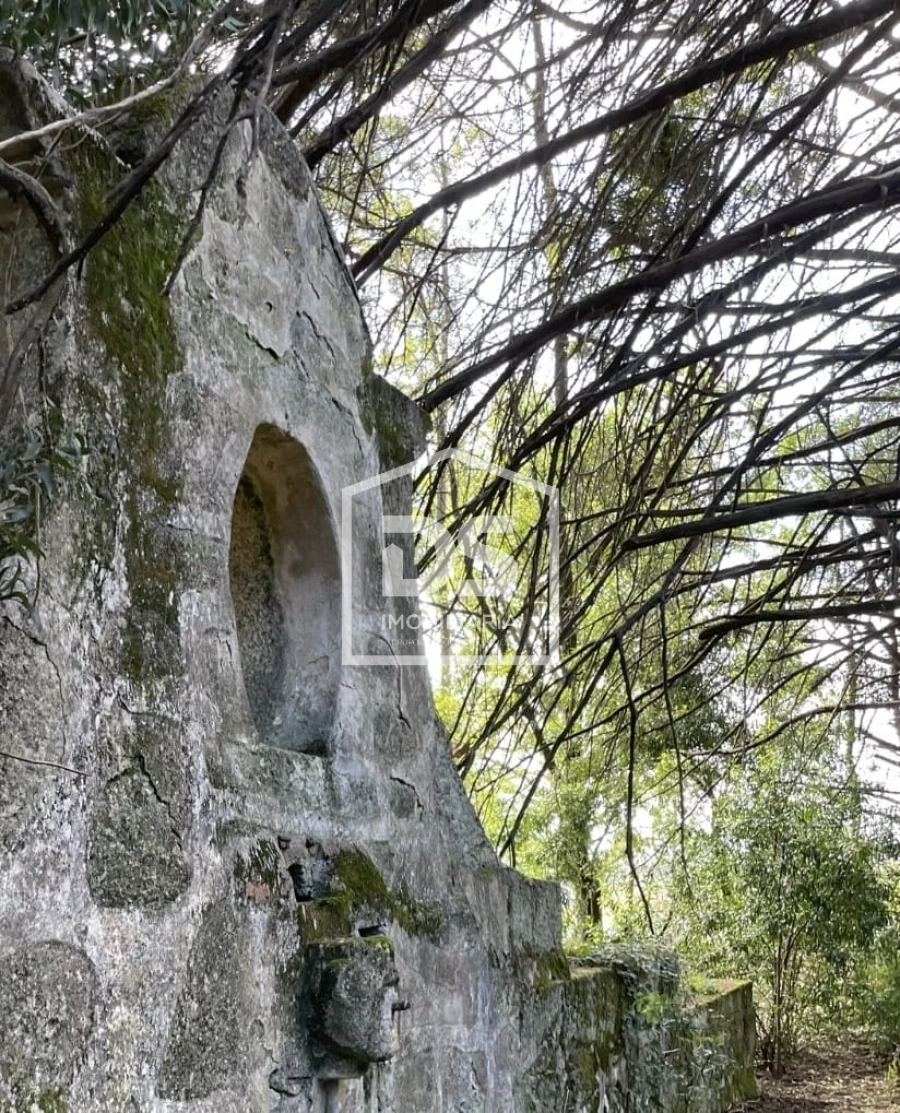 Quinta T0 para Venda em Mundão Foto 68