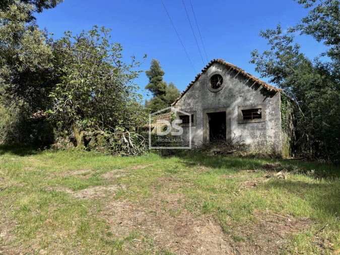 Quinta T0 para Venda em Mundão Foto 64