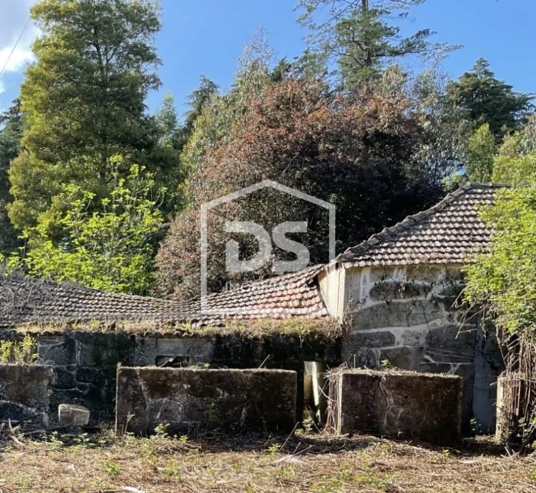 Quinta T0 para Venda em Mundão Foto 63