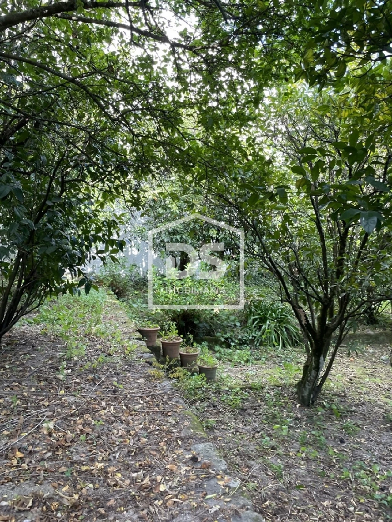 Quinta T0 para Venda em Mundão Foto 48