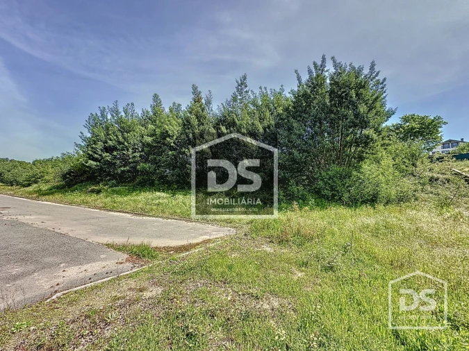 Terreno para Venda em Santa Comba Dão e Couto do Mosteiro Foto 5