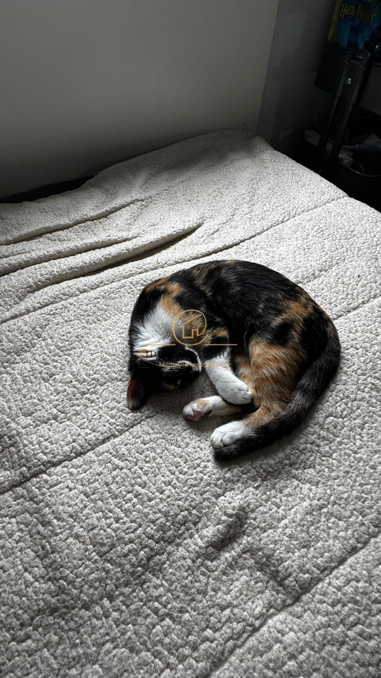 Apartamento T2 para Venda em Fernao Ferro Foto 12