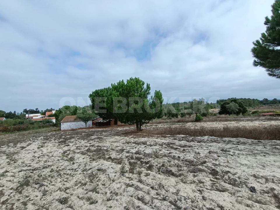 Moradia T3 para Venda em Santana do Mato Foto 14