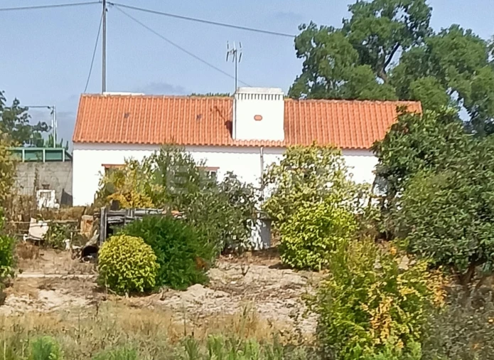 Moradia T3 para Venda em Santana do Mato Foto 2