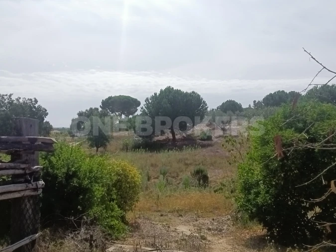 Moradia T3 para Venda em Santana do Mato Foto 8