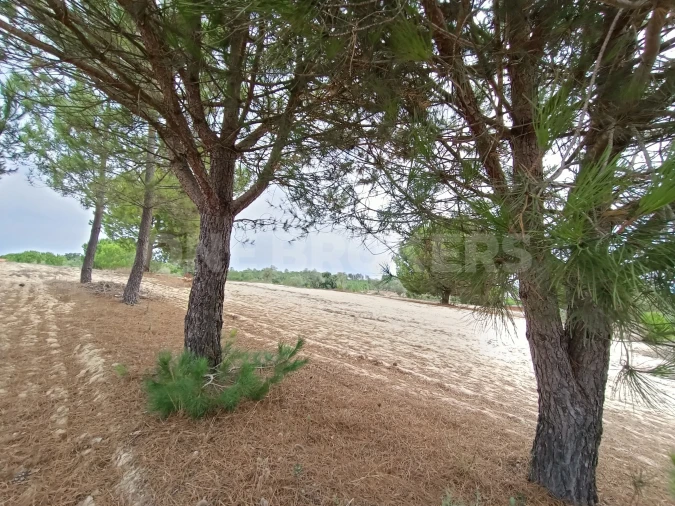 Moradia T3 para Venda em Santana do Mato Foto 11