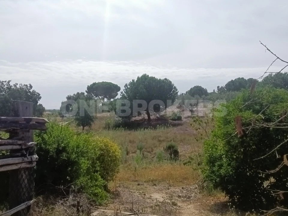 Moradia T3 para Venda em Santana do Mato Foto 10