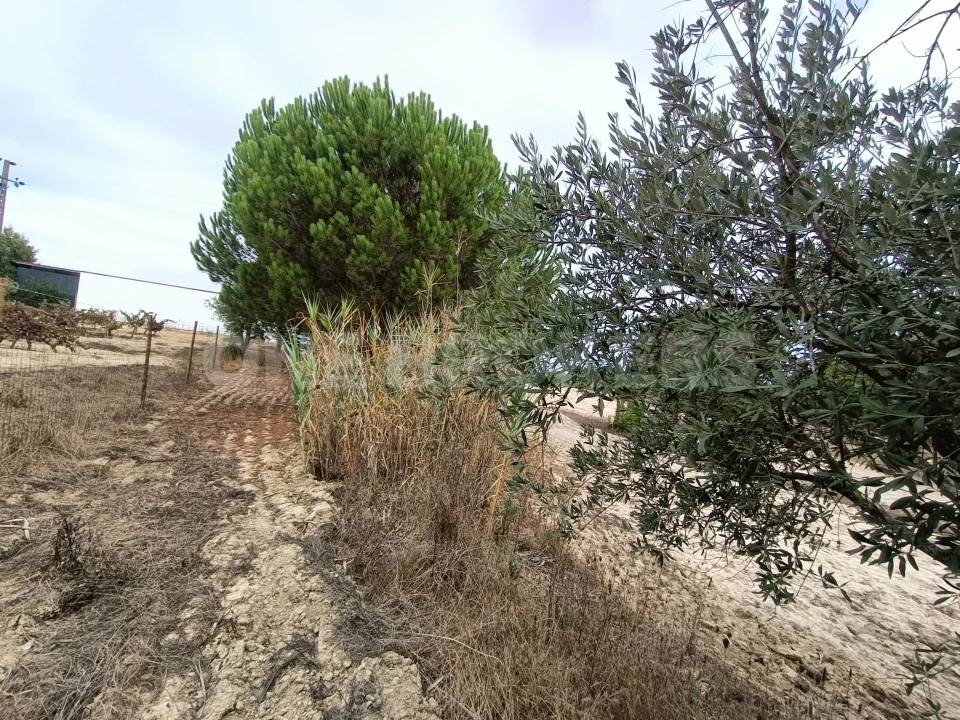 Moradia T3 para Venda em Santana do Mato Foto 12