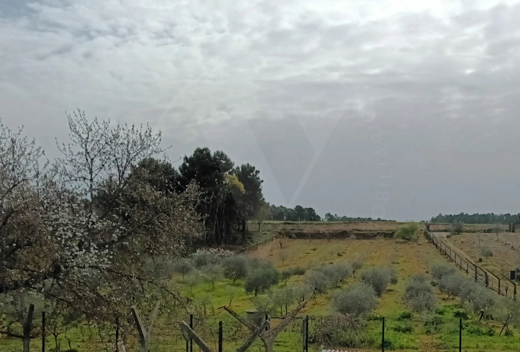 Terreno Misto para Venda em Folhadela Foto 4