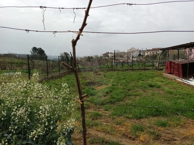 Terreno Misto para Venda em Folhadela Foto 3