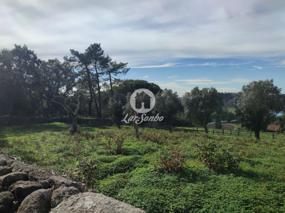 Quinta T7 para Venda em Touguinha e Touguinhó Foto 19