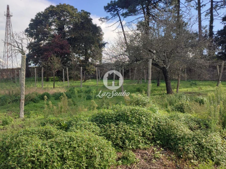 Quinta T7 para Venda em Touguinha e Touguinhó Foto 20