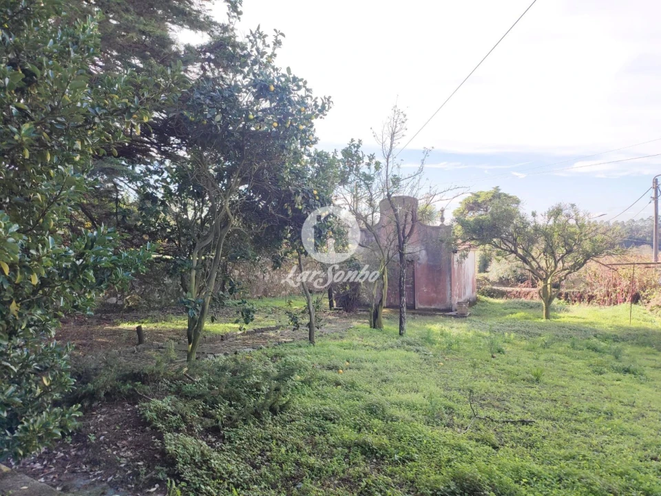 Quinta T7 para Venda em Touguinha e Touguinhó Foto 21