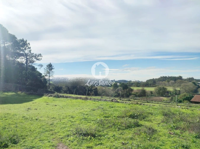 Quinta T7 para Venda em Touguinha e Touguinhó Foto 5