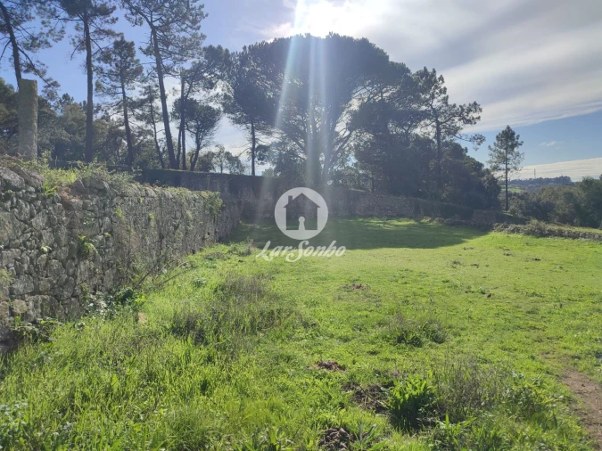 Quinta T7 para Venda em Touguinha e Touguinhó Foto 17