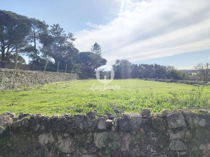 Quinta T7 para Venda em Touguinha e Touguinhó Foto 18