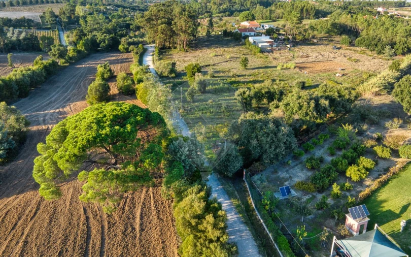 Terreno para Venda em Pontevel Foto 16