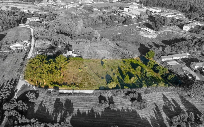 Terreno para Venda em Pontevel Foto 22