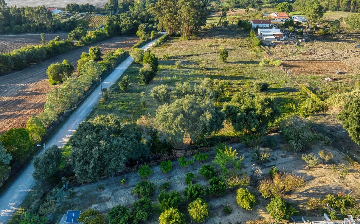 Terreno para Venda em Pontevel Foto 17