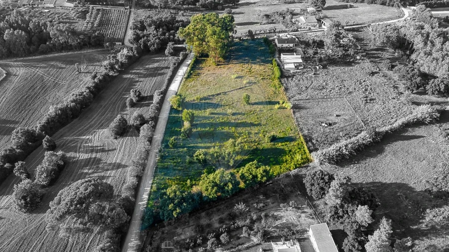 Terreno para Venda em Pontevel