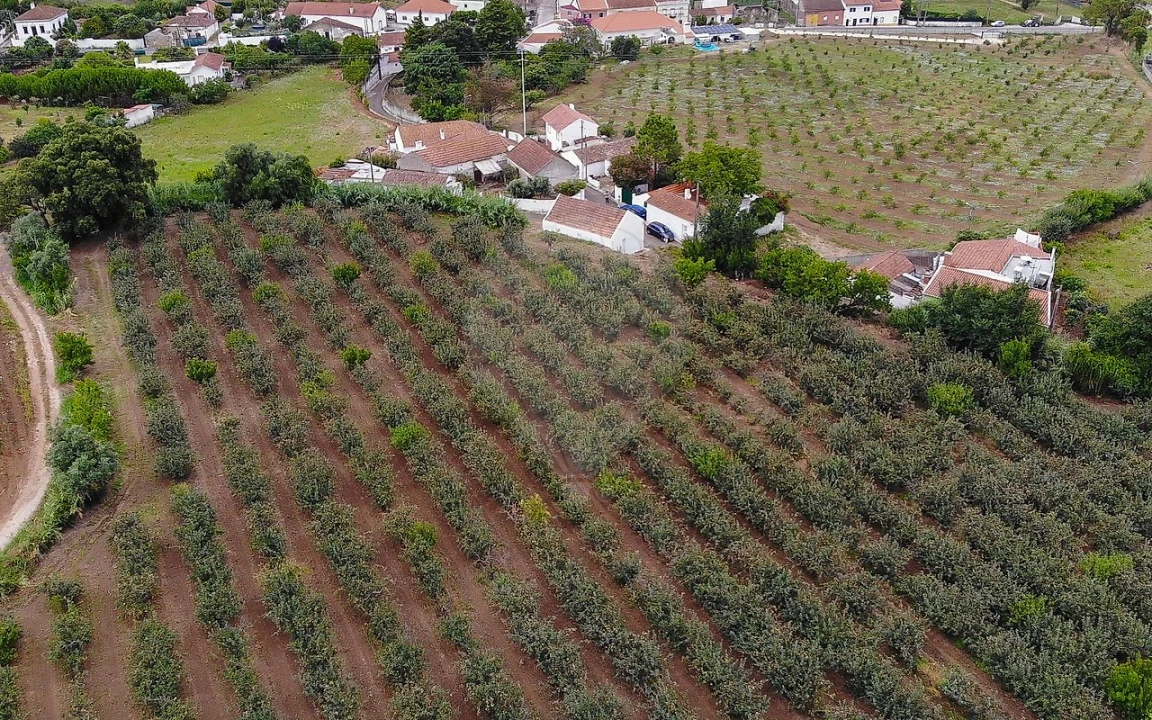 Terreno para Venda em Aldeia Galega da Merceana e Aldeia Gavinha Foto 20