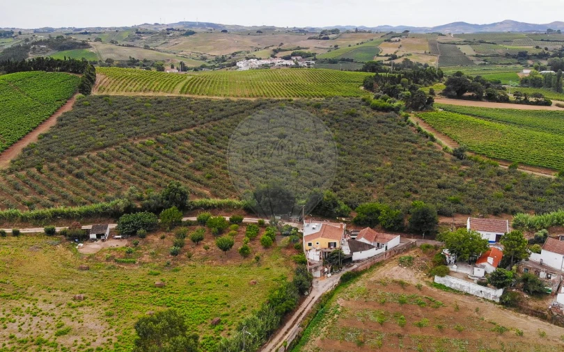 Terreno para Venda em Aldeia Galega da Merceana e Aldeia Gavinha Foto 6